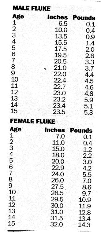 Fluke_Size