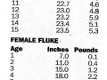 Fluke_Size