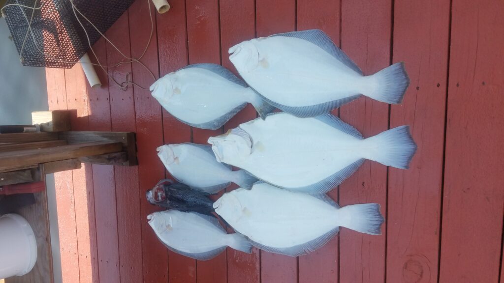 LE Reef Fishing by Marty Friedrich Village Harbour Fishing Club