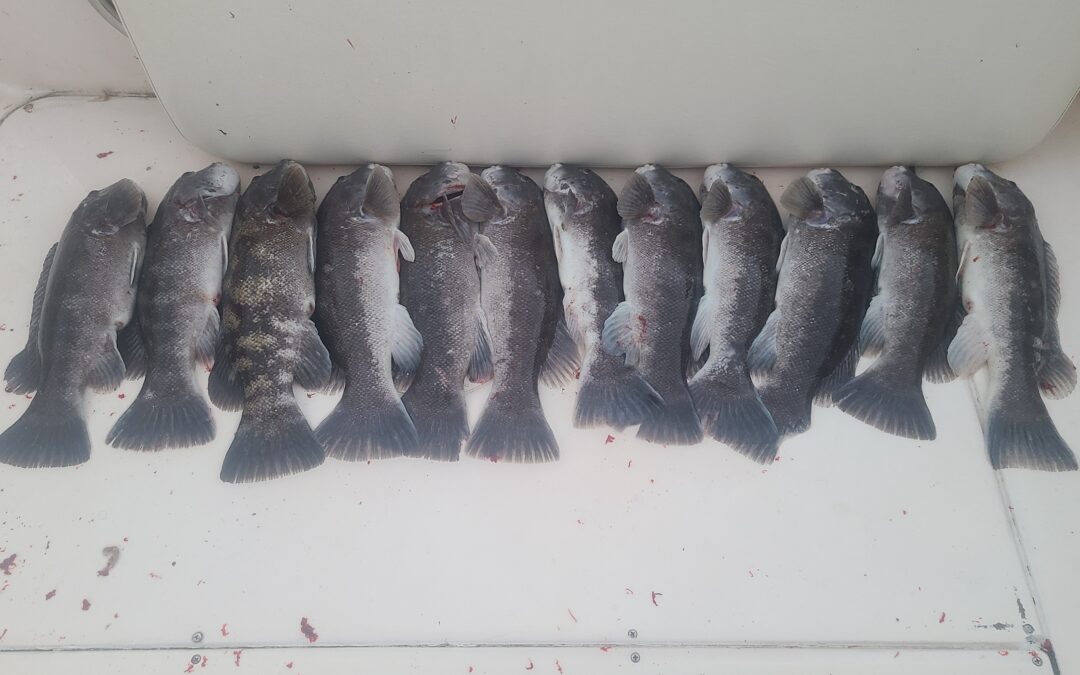Last Day of Tog Season Success